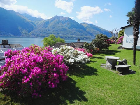 Day, Garden, Garden view, Lake view, Mountain view