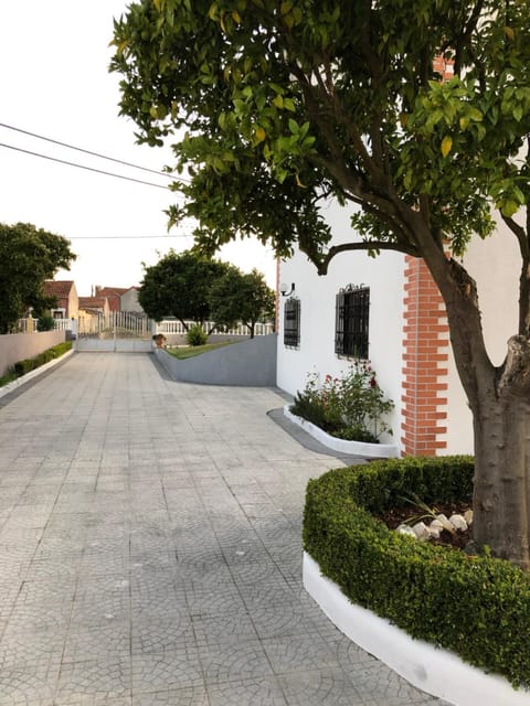 My house in Mira - Cantanhede Mira Beach Cantanhede Apartment in Aveiro District, Portugal