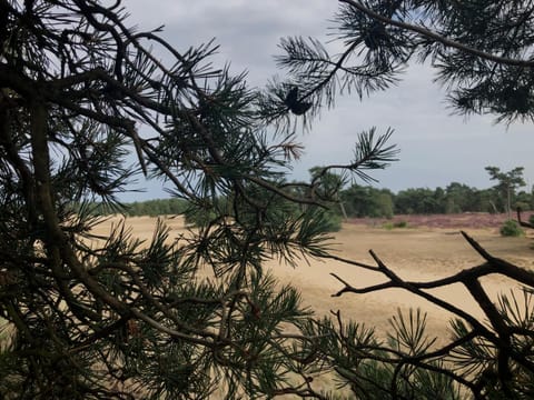 Het Natuurhuisje op de Veluwe House in Flevoland, Netherlands