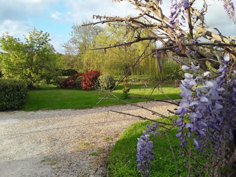 Spring, Natural landscape, Garden, Garden view