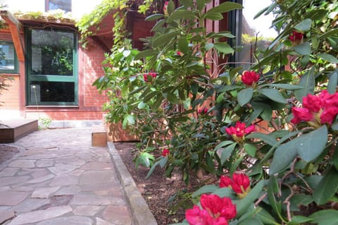 Strandhaus Möve House in Wustrow