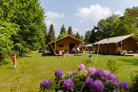 View (from property/room), Guests, children