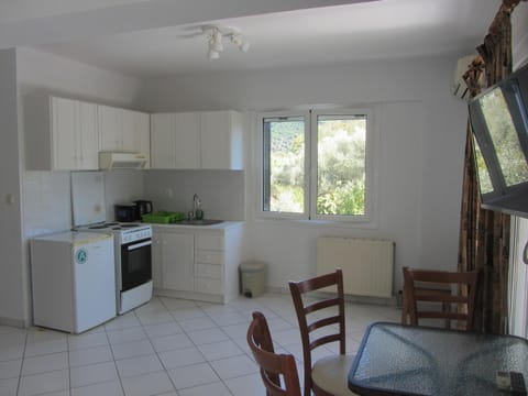 Xristina Studios Condo in Vasiliki