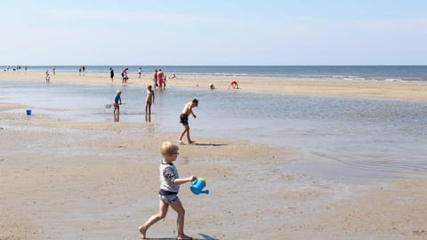 Beach, Area and facilities