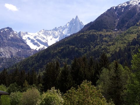 Crêmerie Balmat Bed and Breakfast in Chamonix