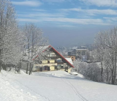 haut de chalet 6 P villard de lans Apartment in Provence-Alpes-Côte d'Azur