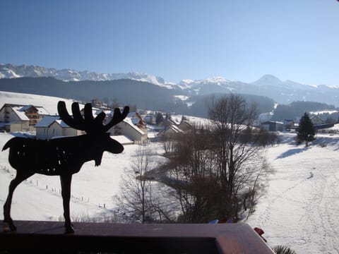 haut de chalet 6 P villard de lans Apartment in Provence-Alpes-Côte d'Azur