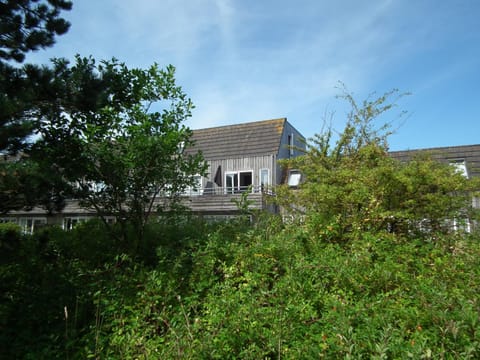 Facade/entrance, Garden