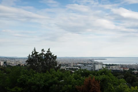 View (from property/room), View (from property/room), City view, City view, Mountain view, Mountain view, Sea view, Sea view, Street view, Street view