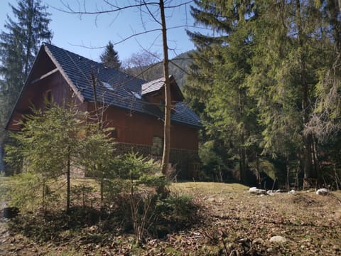 Chata VYPO Natur-Lodge in Poland