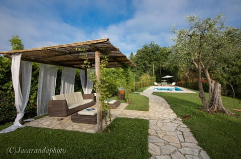 Patio, Garden, Garden, Swimming pool, Swimming pool