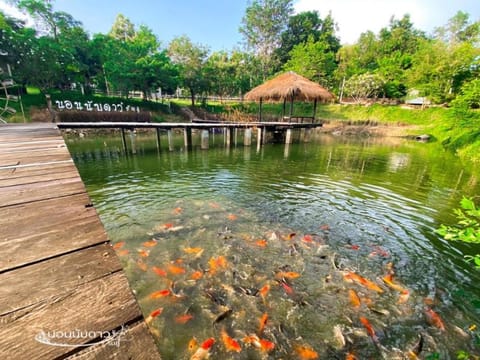 Norn Nab Dao RimPhu Resort Resort in Vientiane Province, Laos