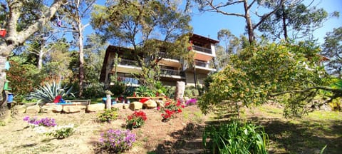 Property building, Garden, Garden view