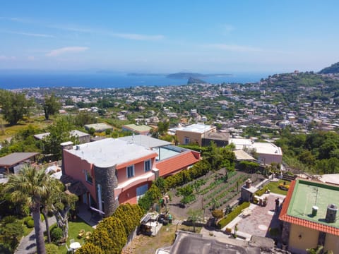 Villa Stefania Übernachtung mit Frühstück in Ischia