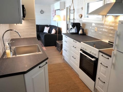 Tiiramökki Villa in Finland