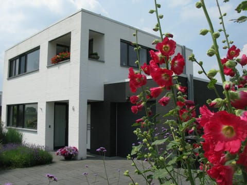 Property building, Facade/entrance, Summer