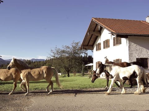 Huberhof House in Berchtesgadener Land