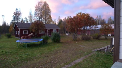 Heidin Mummola Farm Farm Stay in Norrbotten County, Sweden