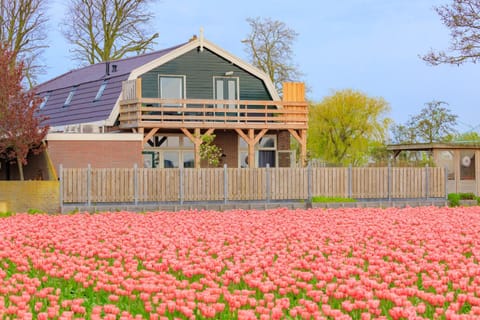 B&B Blossom Bed and Breakfast in Noordwijk