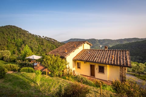 La Pianella Farmhouse Villa in Lucca