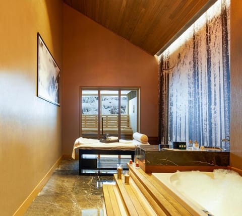 Spa and wellness centre/facilities