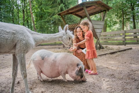 People, Natural landscape, Animals, children