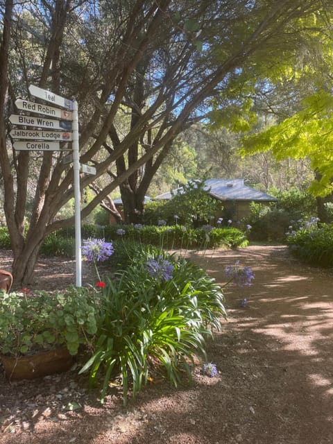 Natural landscape, Garden, Garden view