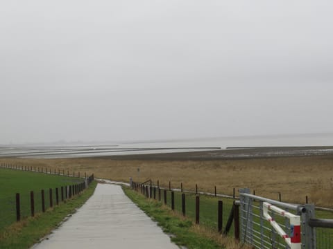Natural landscape, Other, Beach