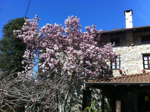 Facade/entrance, Garden