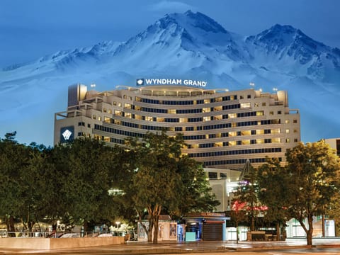 Wyndham Grand Kayseri Hotel in Kayseri