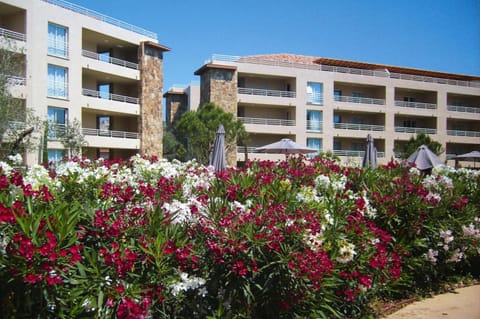 Residence Salina Bay Porto Vecchio Apartment garden side Apartment in Porto-Vecchio