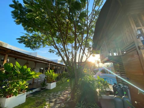 Day, Garden, Garden view