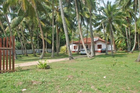 Property building, Garden, Garden view