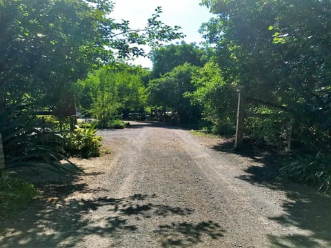 Facade/entrance, Natural landscape, Garden