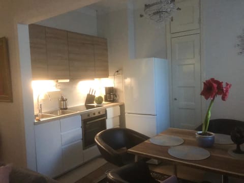 Very Lovely Apartment in city center Condo in Helsinki