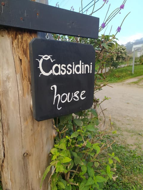 Cassidini House Condo in Monteverde