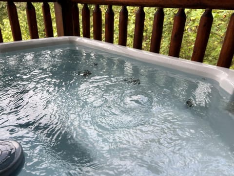 Natural landscape, Hot Tub