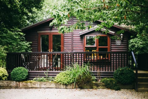Chycara Nature lodge in England