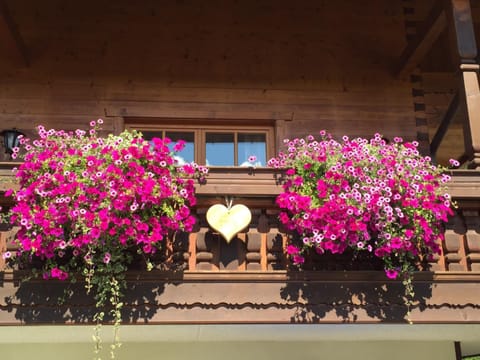 Haus am Wiesbach Apartment in Salzburgerland