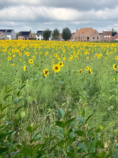 Natural landscape, View (from property/room)