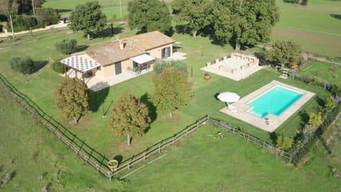 Bird's eye view, Swimming pool