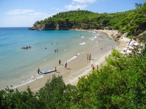 Day, People, View (from property/room), Beach, group of guests