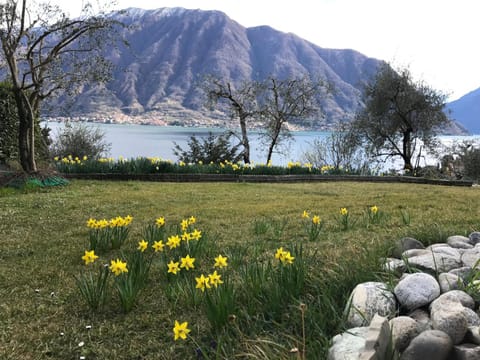 Garden, Lake view