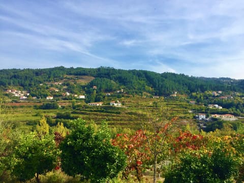 Quinta do Pêso House in Porto District