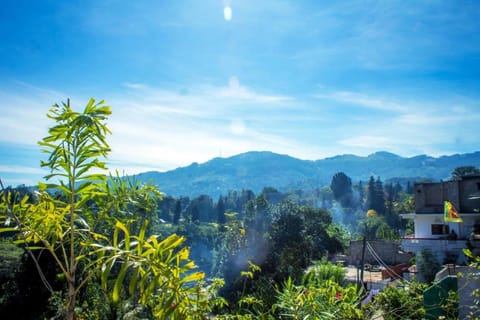 City view, Garden view, Landmark view, Mountain view, River view, Quiet street view