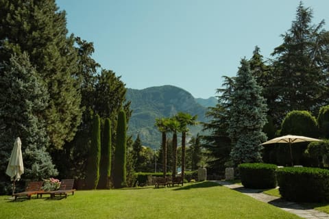 Garden, Mountain view