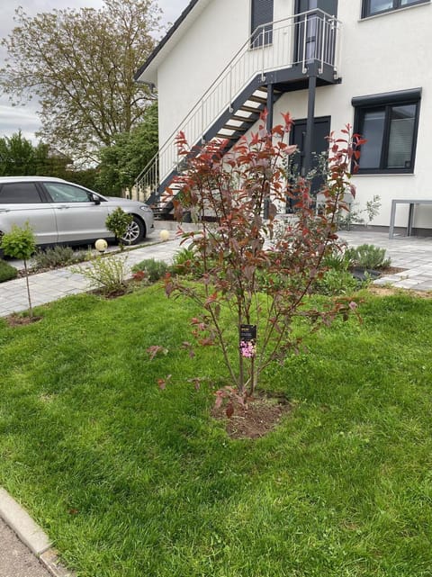 Property building, Garden