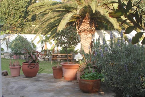 Ocean Melody Apartment in Namibia