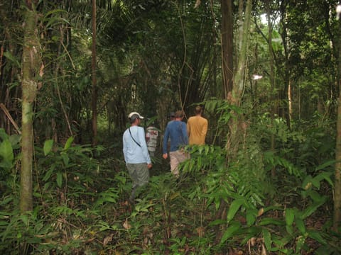 CABAÑA Amazon LODGE Capanno nella natura in Iquitos
