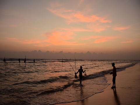 Beach, Sunset